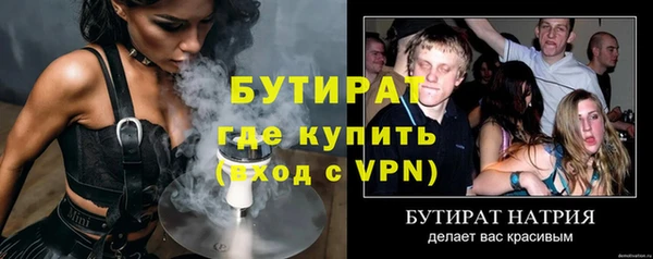 шишки Аркадак