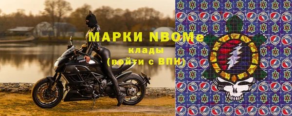 шишки Аркадак