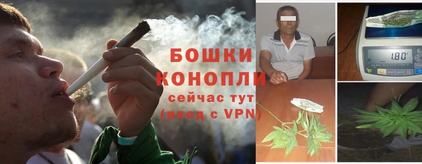 шишки Аркадак