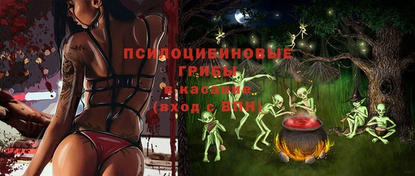 шишки Аркадак