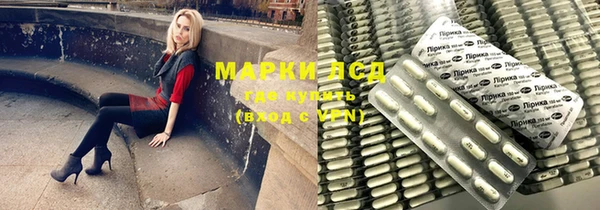 шишки Аркадак