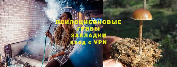 шишки Аркадак