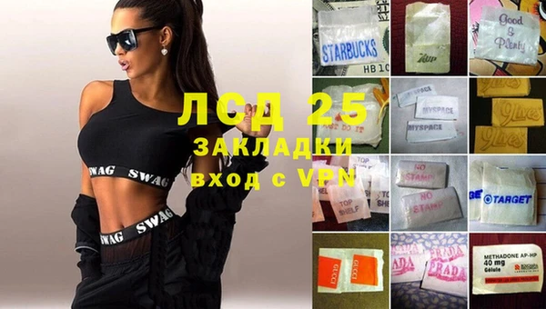 шишки Аркадак