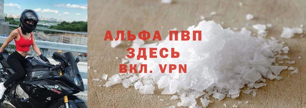 шишки Аркадак